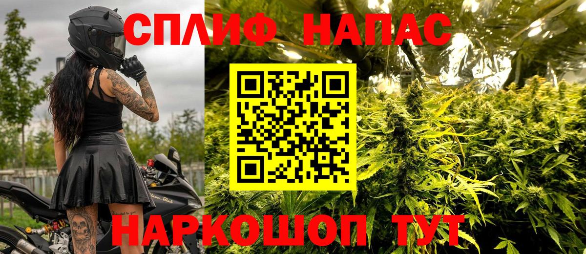 Конопля план Малгобек