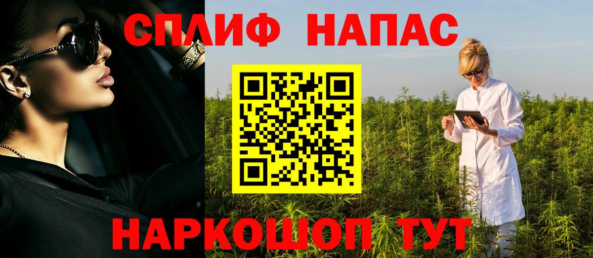 Бошки Шишки планчик  МАРИХУАНА план  МАРИХУАНА MAZAR  Малгобек  Вход с VPN 